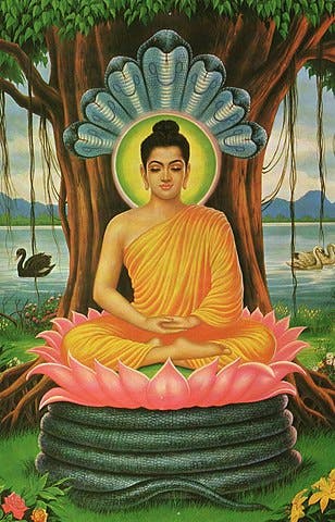 Buddha Therapist